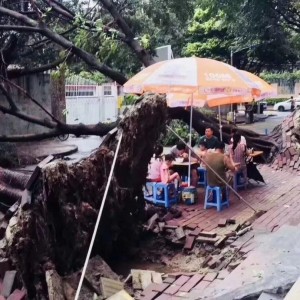 台风过后的胶带难题，广东居民如何巧妙应对