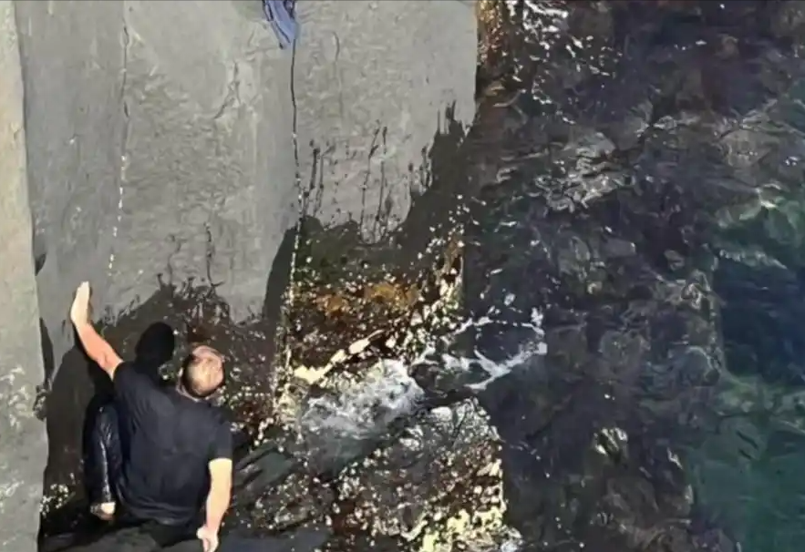 哥斯达黎加海滩悲剧，男子爬树坠亡事件引发安全警示