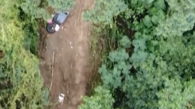哥斯达黎加海滩悲剧，男子爬树坠亡事件引发安全警示