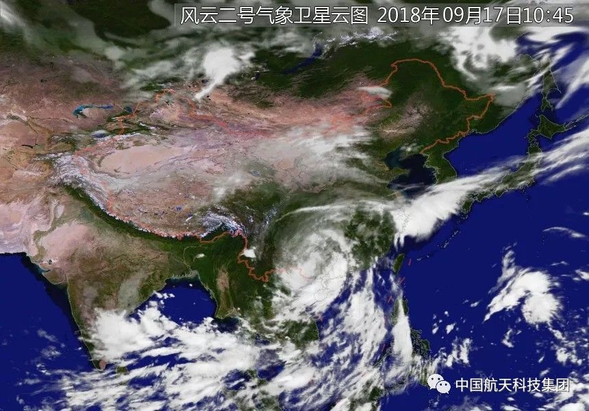 逆风而行，台湾梅花鹿在台风巨浪中的奇迹游泳