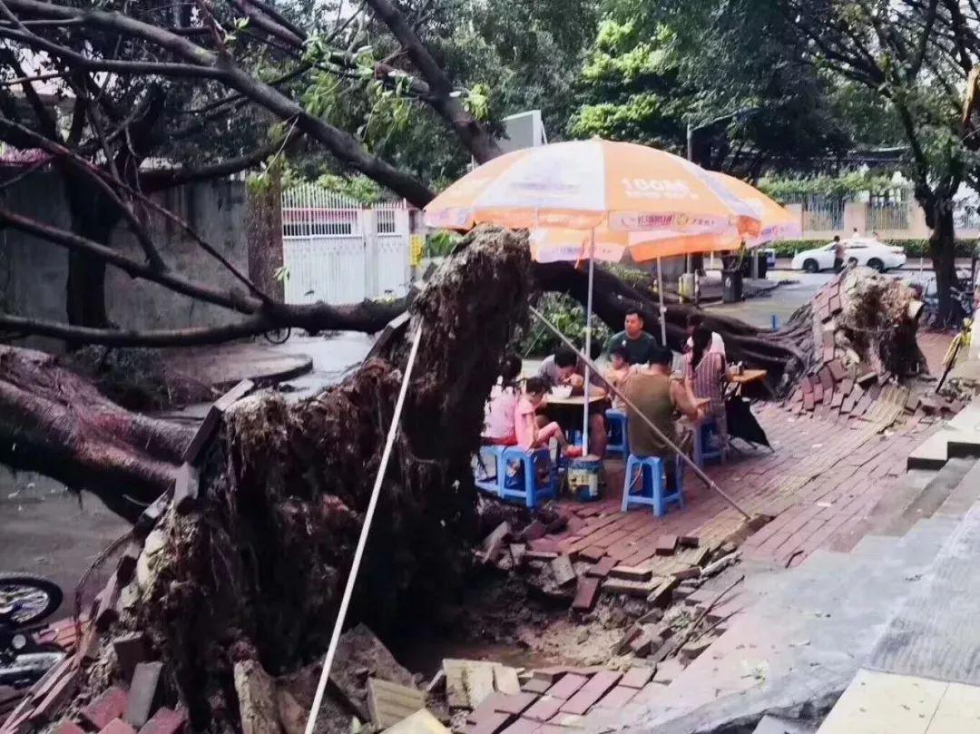 台风过后的胶带难题，广东居民如何巧妙应对