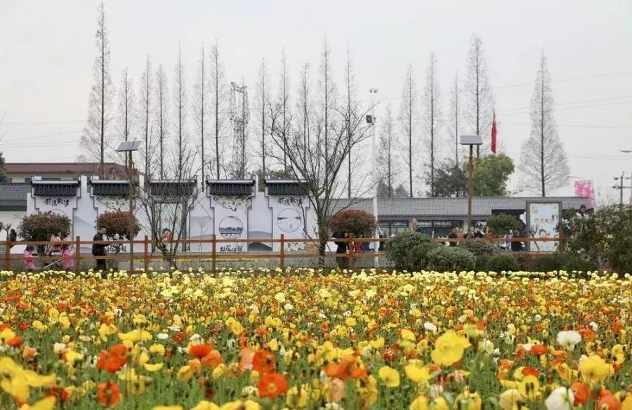 美食娱乐嘉年华宣传语：如何用一句话引爆客流，让活动火爆出圈